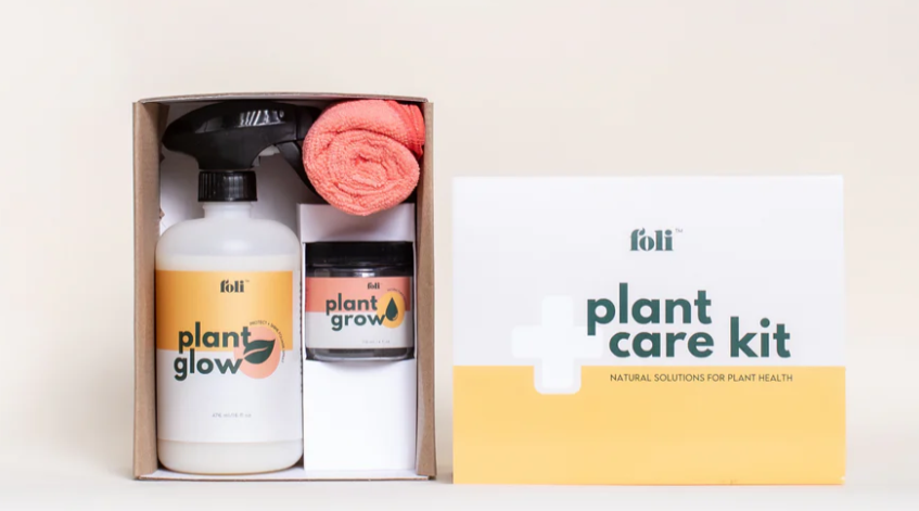 foli plant care kit