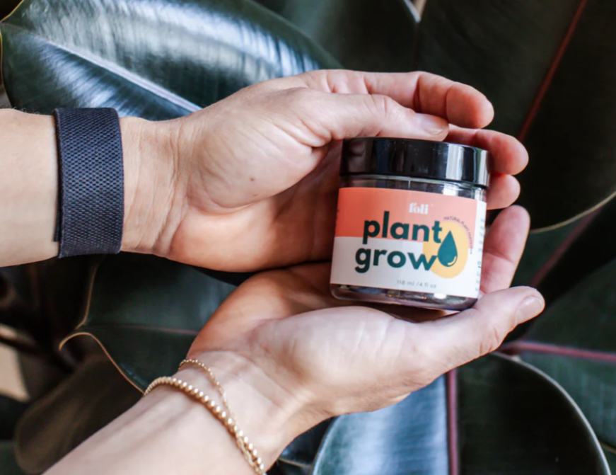foli plant grow