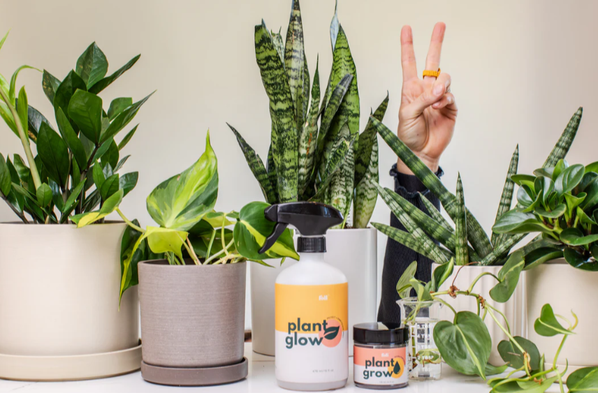 2025-04-07 - 17_40_06 - Grow & Glow – Foli about foli